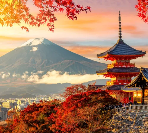 Essence Japan with Hakone